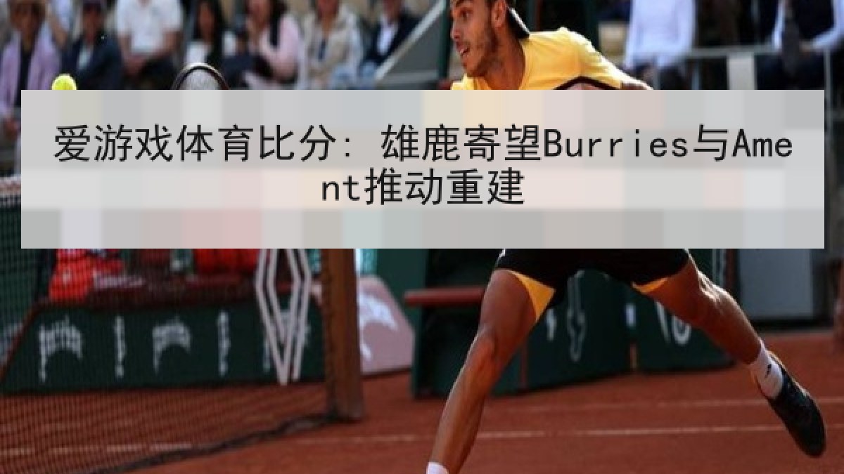 爱游戏体育比分: 雄鹿寄望Burries与Ament推动重建