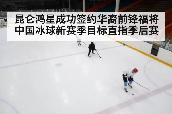 ice hockey game