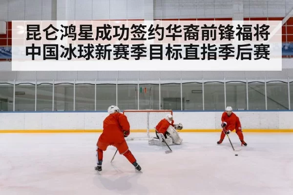 ice hockey rink